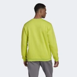 ADIDAS Entrada 22 Sweatshirt -WarmeK Kleding Winkel entrada 22 sweatshirt 2