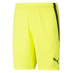 Short Puma TeamLIGA