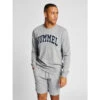 Sweatshirt Hummel Ic Bill 2 Sweatshirt Hummel Ic Bill -WarmeK Kleding Winkel sweatshirt hummel ic bill