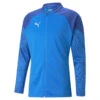 TeamCUP Voetbaltrainingsjack Voor Heren PUMA -WarmeK Kleding Winkel teamcup voetbaltrainingsjack voor heren puma